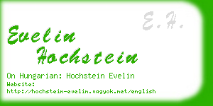 evelin hochstein business card